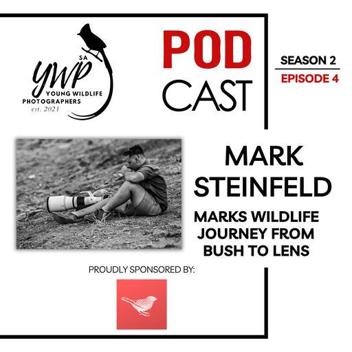 YWP Podcast Season 3 Episode 4 - Mark Steinfeld: Into the Wild - A journey to Becoming a Field Guide
