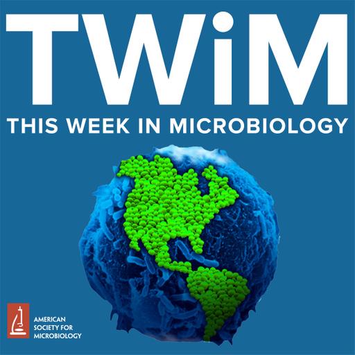 330: More mouth Microbiology