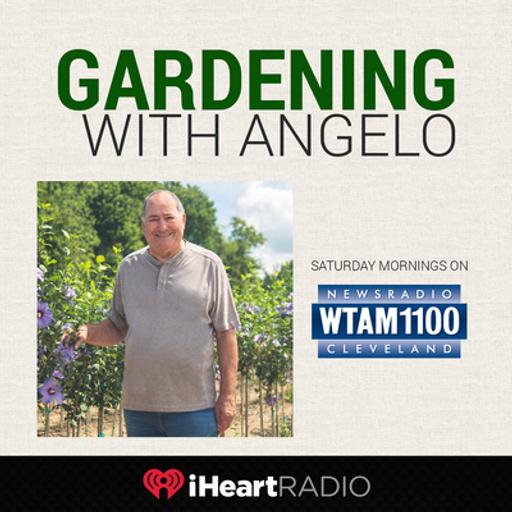 Season 30 ep.6 - Gardening with Angelo 4-12-25
