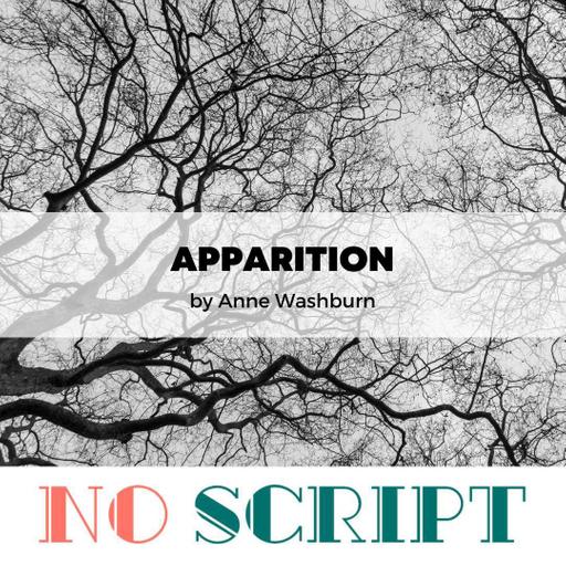 "Apparition" by Anne Washburn | S14.E11