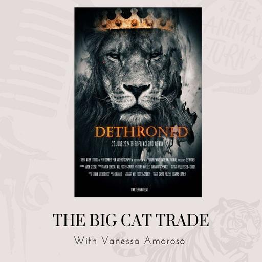 Bonus: Big Cat Trade with Vanessa Amoroso