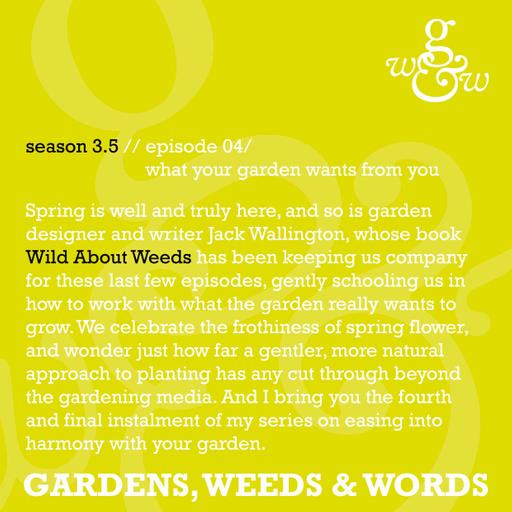 S03.5 Episode 4: What your garden wants from you
