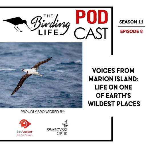 TBL Podcast Season 11 Episode 8 - Voices from Marion Island Life on One of Earth’s Wildest Places