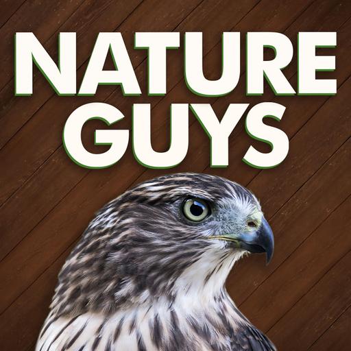 Biodiversity and Deep Ecology with John Seed