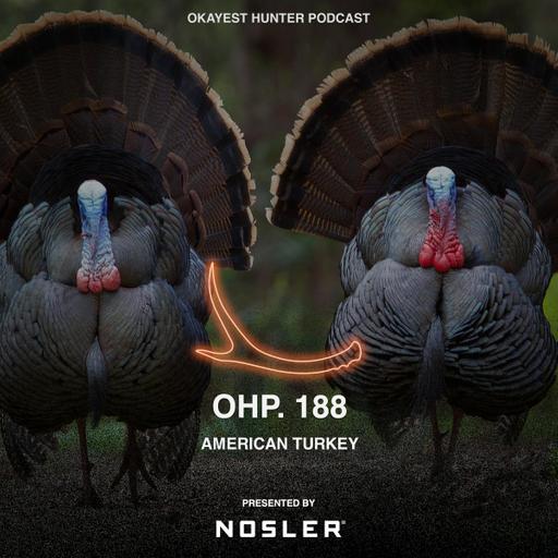 American Turkey