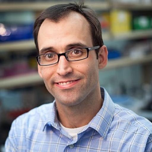 We've Been Misclassifying Childhood AML for Years: Jeffery Klco, St. Jude's