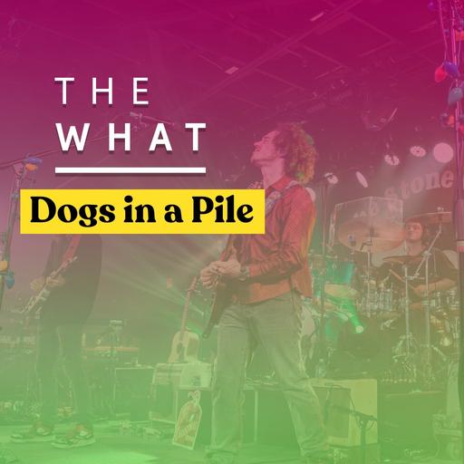 Dogs in a Pile Talk Bonnaroo 2025 Debut, Jam Band Roots, and Songwriting with Tom Marshall