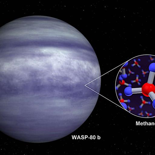 New Worlds: Analyzing the Atmospheres of Exoplanets with the James Webb Space Telescope