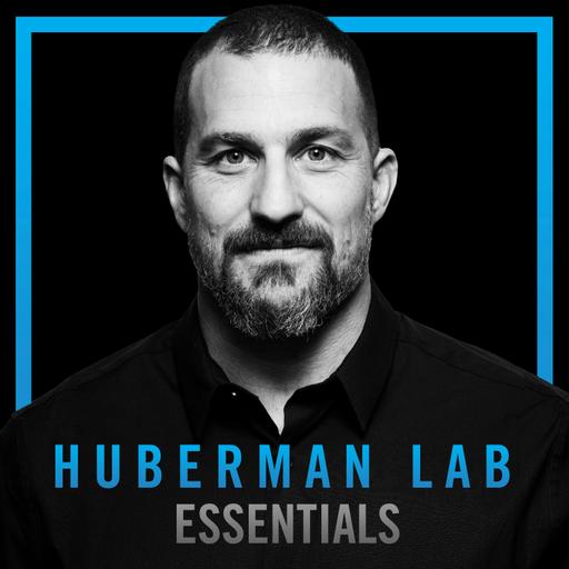 Essentials: How to Build Endurance