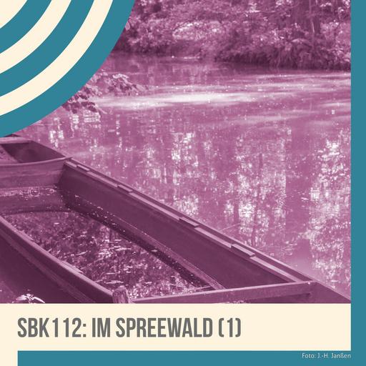 Im Spreewald (1)