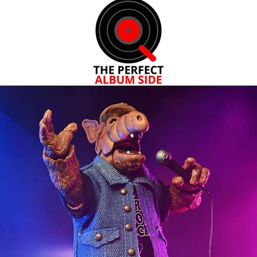 PAS Single: Concerts & Sitcoms