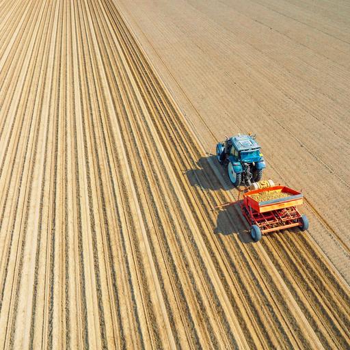 Saatgut mit Zukunft - Kartoffeln fit für die Klimakrise machen