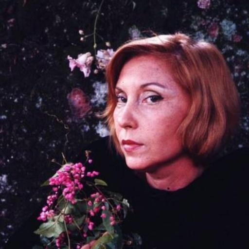 Podcast for Social Research, Episode 88: The Sound of Lispector