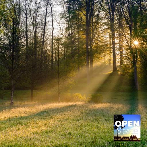 Introducing Guardians of Greenspaces — Episode 168