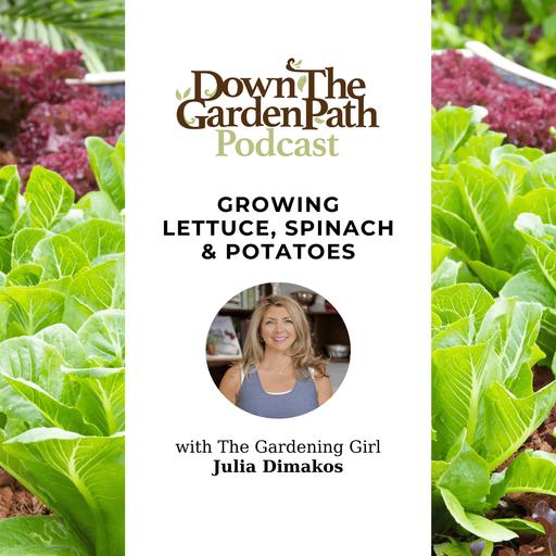 Growing Lettuce, Spinach and Potatoes with Julia Dimakos
