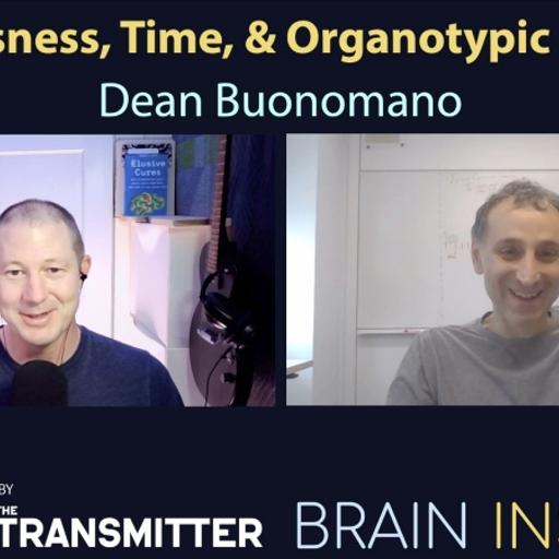 BI 210 Dean Buonomano: Consciousness, Time, and Organotypic Dynamics