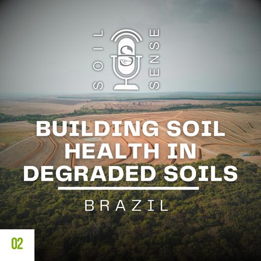Building Soil Health in Degraded Soils