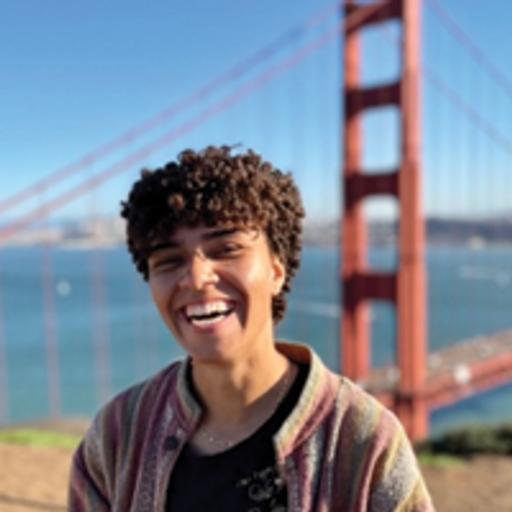 Social, Spatial, Ecological, and Racial fixes in New Deal South Carolina: Interview with Morgan Vickers
