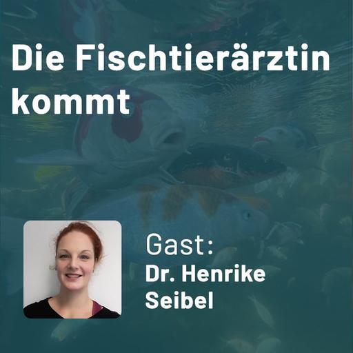 406: Die Fischtierärztin kommt - Worauf muss ich bei meinem Teich achten? (Dr. Henrike Seibel)