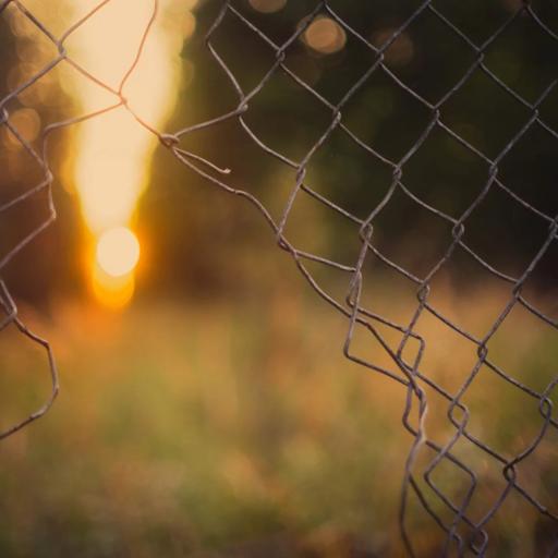 Limits (Rabbi Sacks on Shemini, Covenant & Conversation)