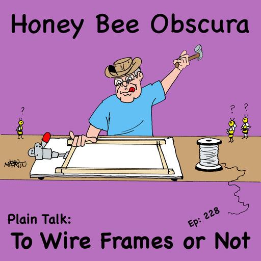 Plain Talk: To Wire Frames or Not (228)