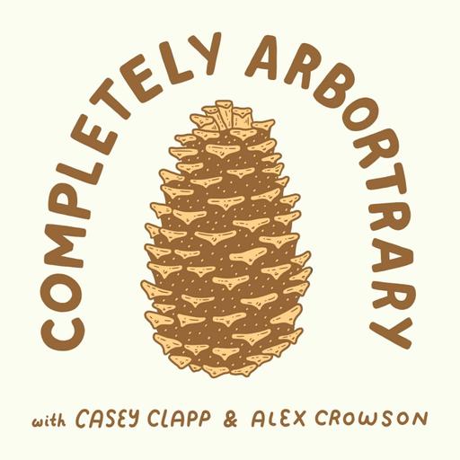 Anomalous Secondary Growth (Ombú)