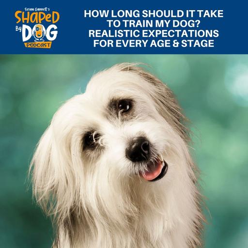 How Long Should It Take To Train My Dog? Realistic Expectations For Every Age & Stage #303