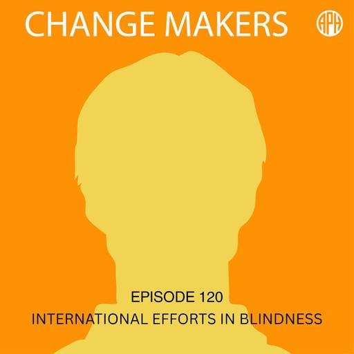 International Efforts in Blindness