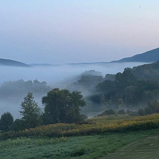 The Collective Current