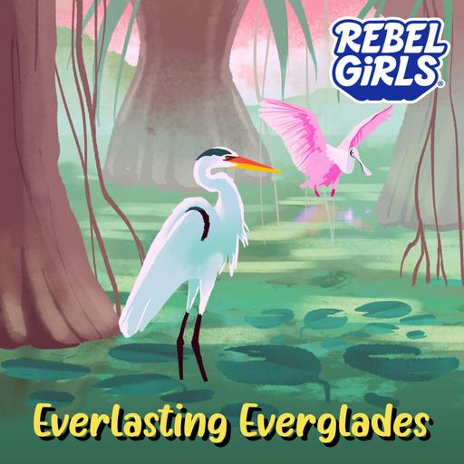 SOUNDSCAPE BONUS! Everlasting Everglades