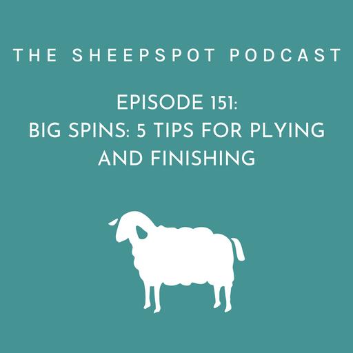 Episode 151 Big Spins: 5 Tips for Plying and Finishing