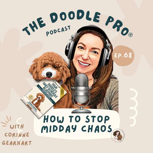 68: How to Stop Midday Zoomies, Barking, and Chaos