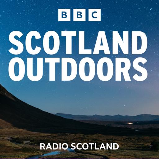 Birch Sap, Sailing and Boggy Marathons