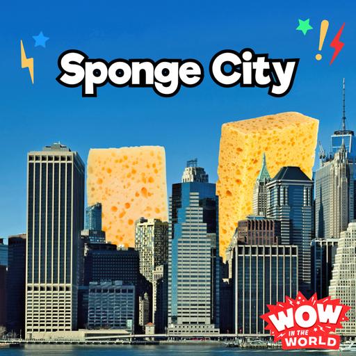 Sponge City (4/28/25)