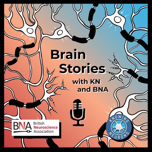 Knowing Neurons at the British Neuroscience Association conference with Dr. Michal Milczarek