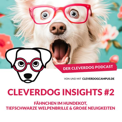 Cleverdog Insights #2 – Fähnchen im Hundekot, tiefschwarze Welpenbrille & große Neuigkeiten