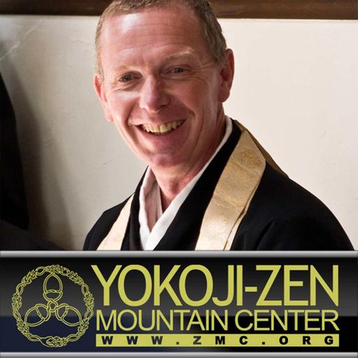 Strategy and Tactics in Zen