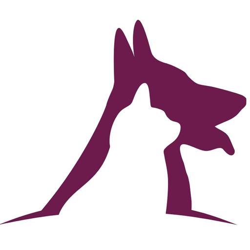 A Gratitude Journal for You & Your Dog