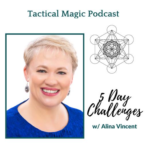 E. 245 5 Day Challenges w/ Alina Vincent