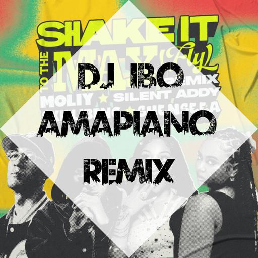 Moliy & Shenseea & Skilibeng - Shake It To The Max (Dj IBO Amapiano Remix)