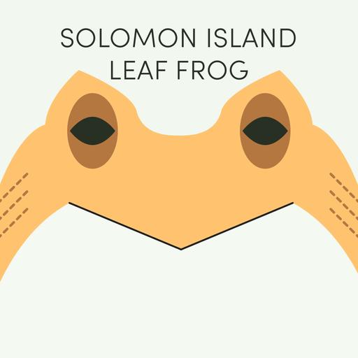 Solomon Island Leaf Frog | Week of April 28th