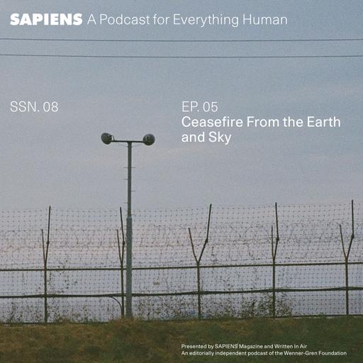 Ceasefire From the Earth and Sky