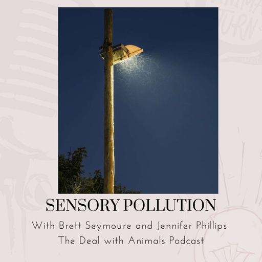 Bonus: Sensory Pollution with Brett Seymoure and Jennifer Phillips
