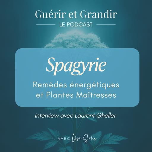 Spagyrie : Remèdes énergétiques et Plantes Maîtresses - Interview avec Laurent Gheller