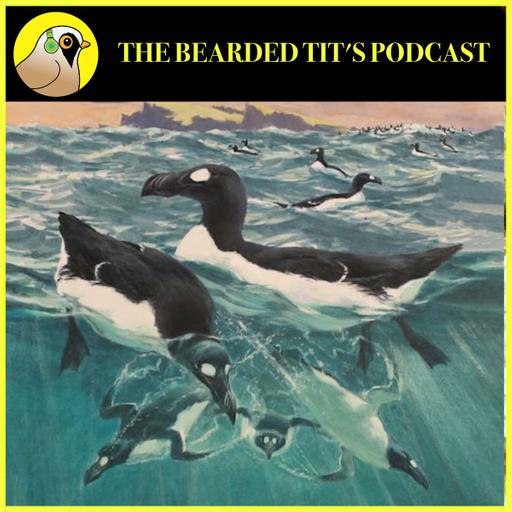 The Great Auk ft Tim Birkhead #167