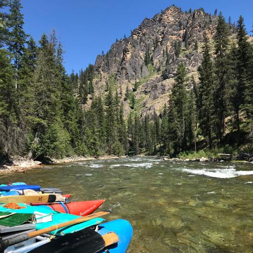 Are Public Lands 4 $ale?