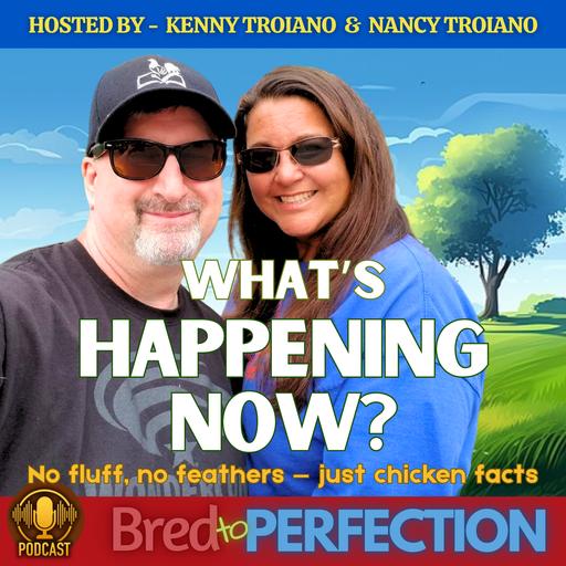 Ep244 - What’s Happening Now?