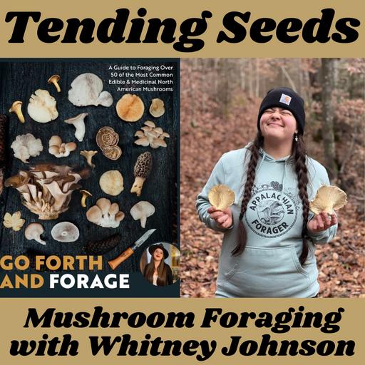 Ep 64 - Mushroom Foraging with Whitney Johnson
