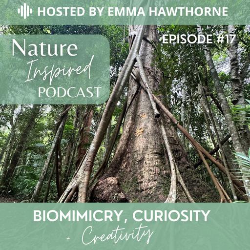 Biomimicry, curiosity and creativity