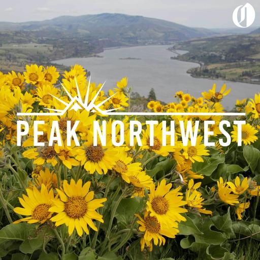 Where to find the best wildflower hikes in the Columbia River Gorge